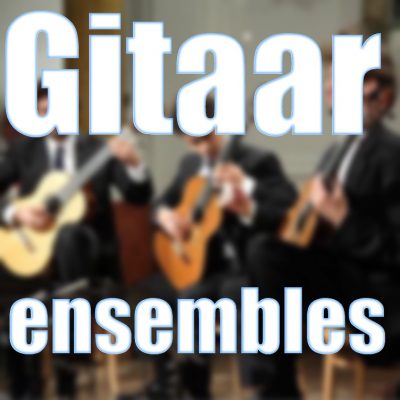 Gitaar ensembles