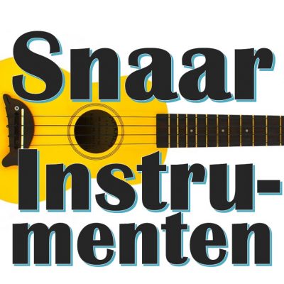 Snaarinstrumenten