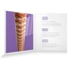 D'Addario XS Phosphor Bronze 11-52 - Afbeelding 4