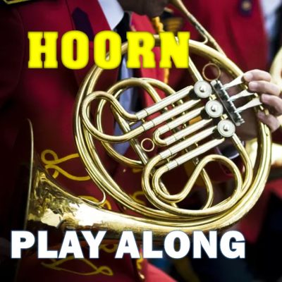 Hoorn Play Along