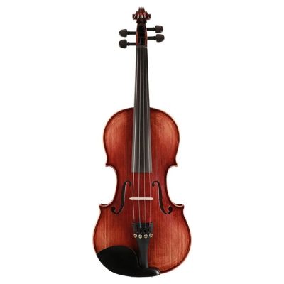 Leonardo Maestro series viool