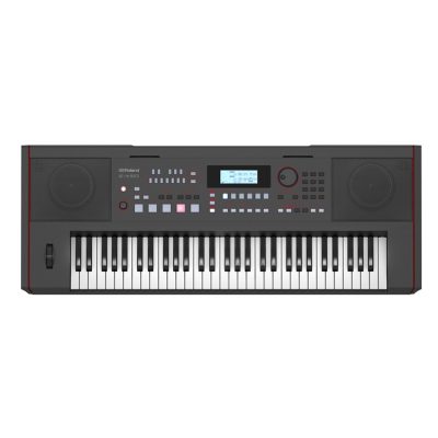 Roland E-X50 Entertainment Keyboard